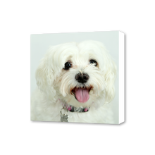 Load image into Gallery viewer, Canvas