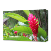 Load image into Gallery viewer, Canvas